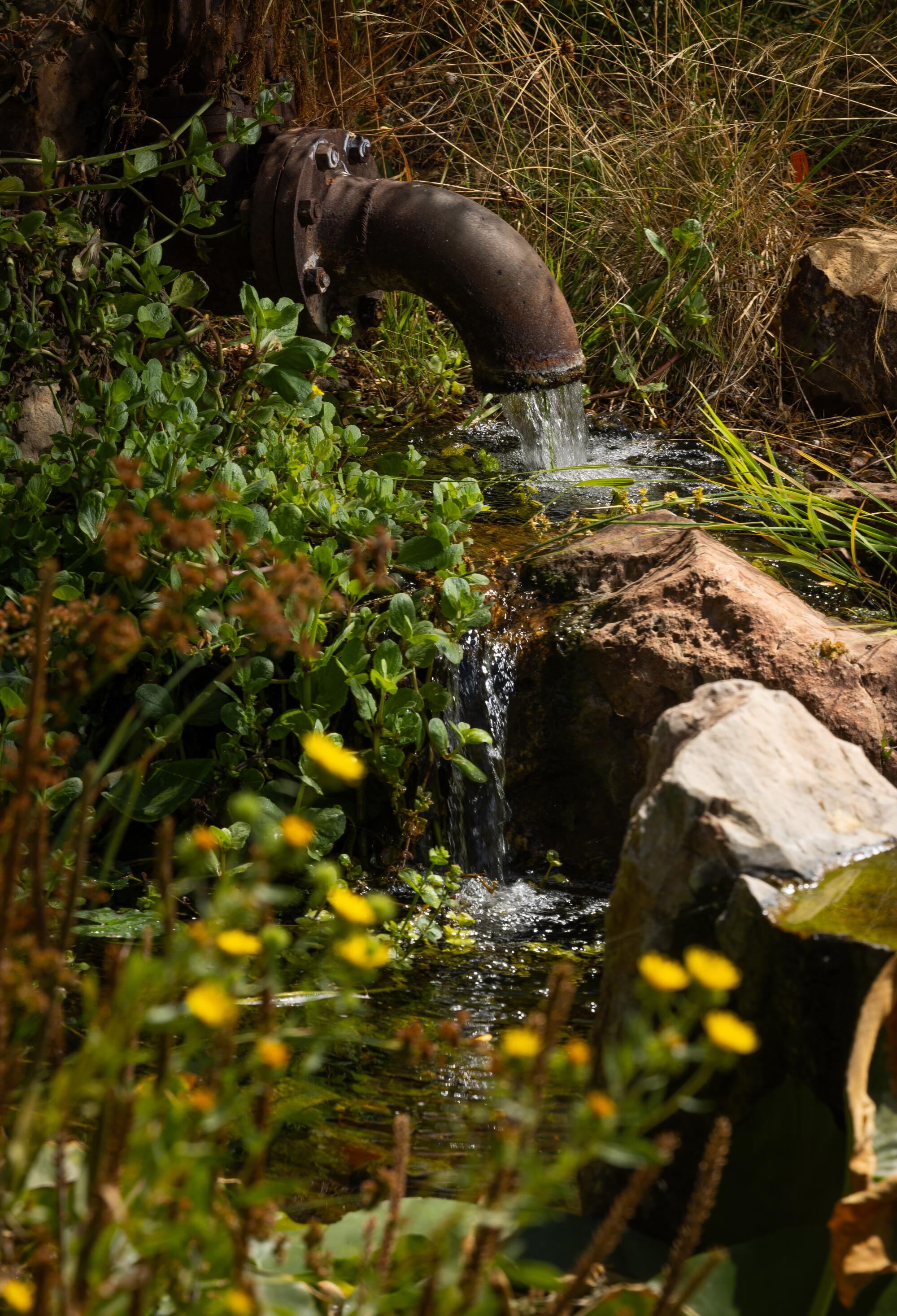 A rusty repurposed industrial-sized spigot spills water into a small waterfall and pond at Casa Apocalyptica.