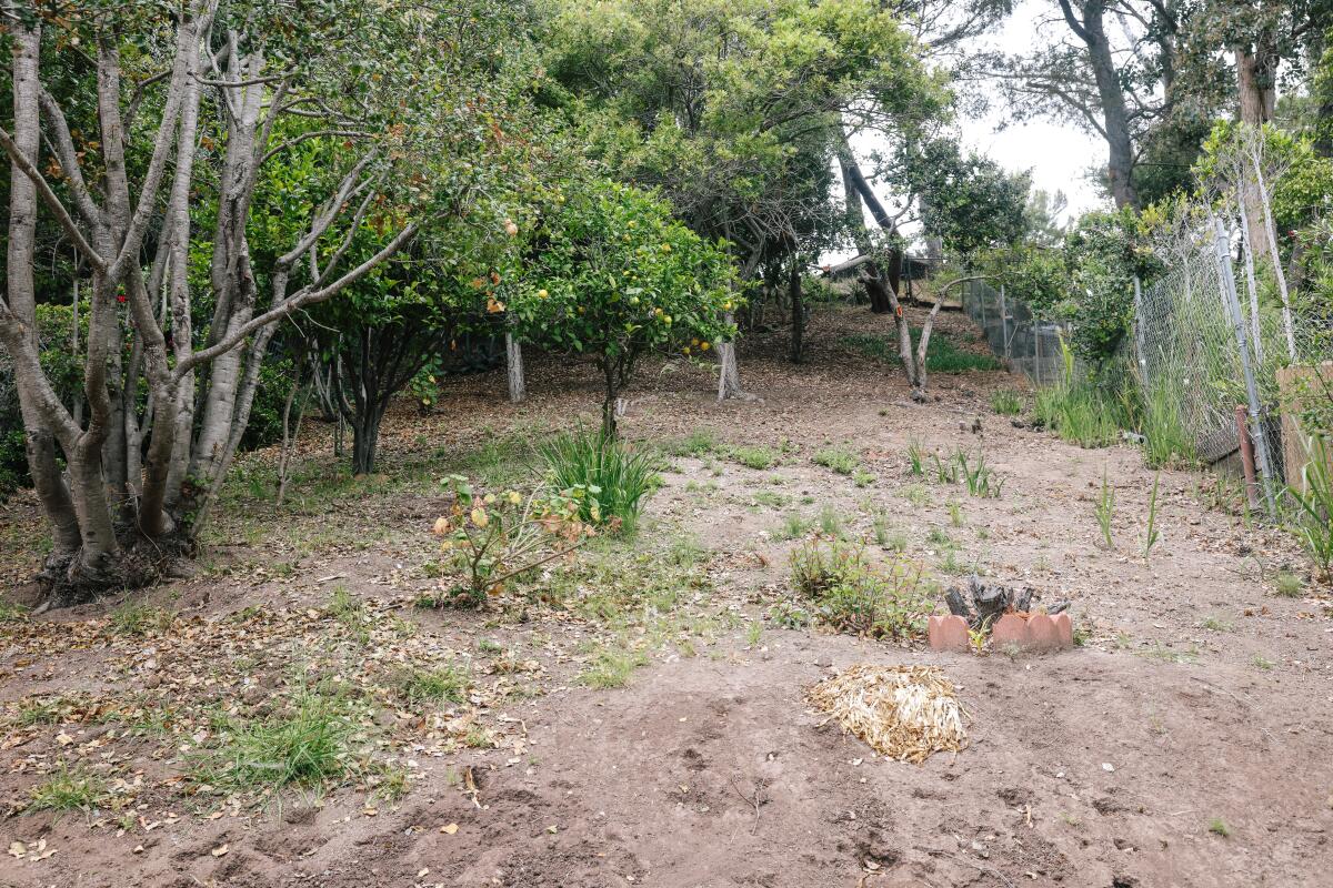 A bare yard with cleared brush