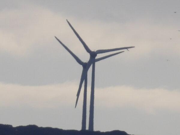 Two wind turbines are seen in Albany, Western Australia, on April 9, 2024. (Susan Mortimer/The Epoch Times)