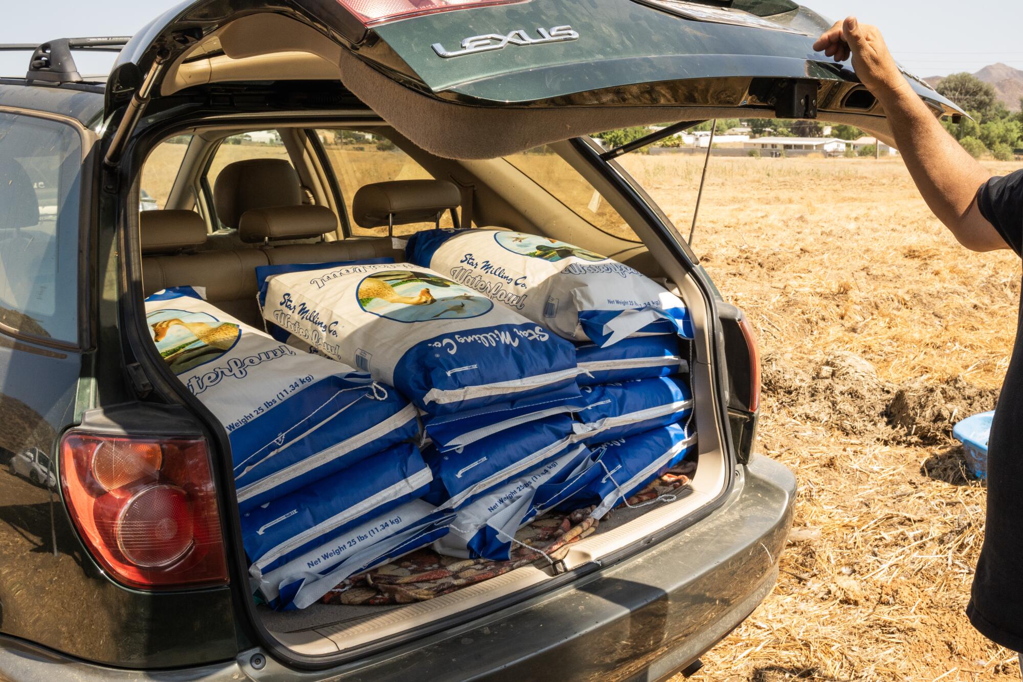 Bags of bird food sit in the back of a car.