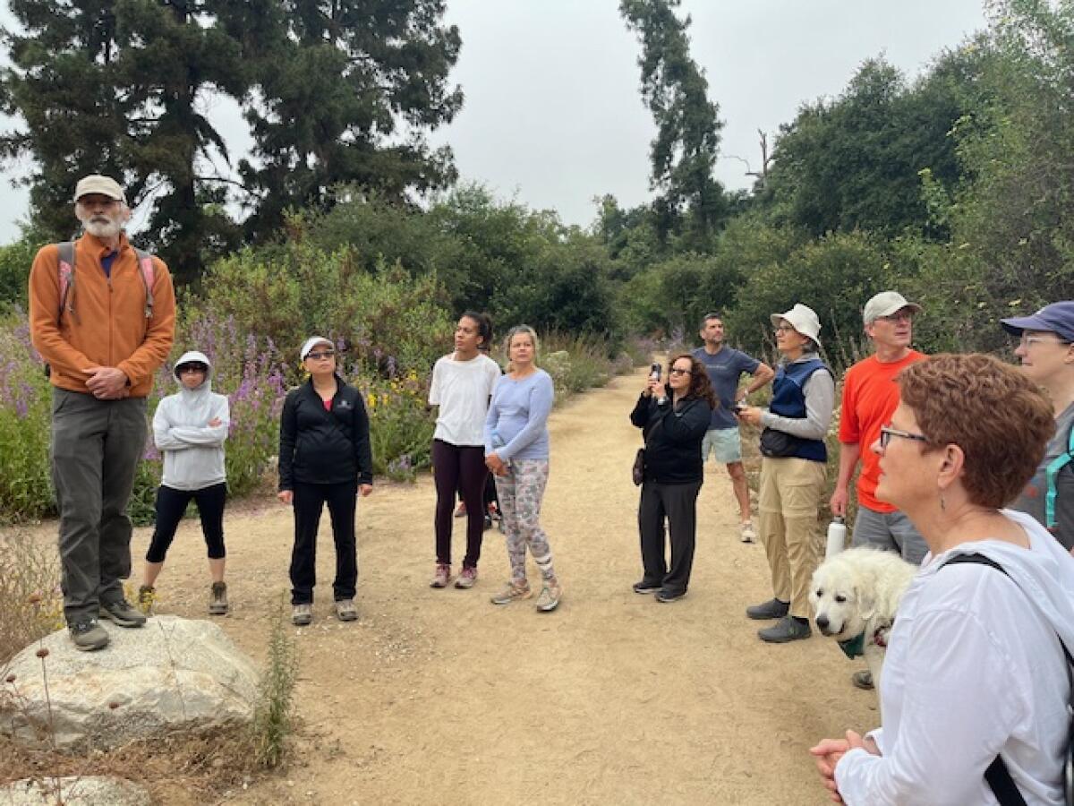  A man, standing on a rock, addresses hikers on the trail.