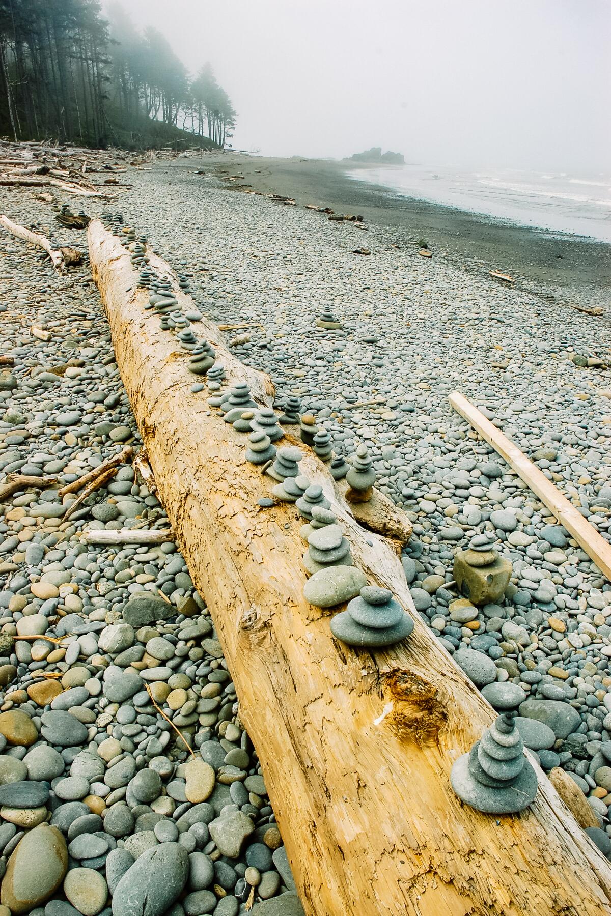 A view of Ruby Beach in Olympic National Park in Washington state.