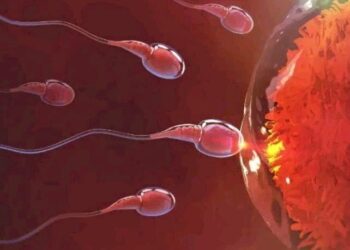 Things Men Supposed To Do Daily To Maintain Their Fertility