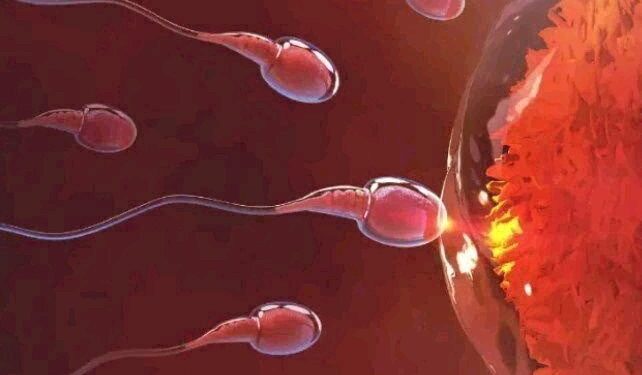 Things Men Supposed To Do Daily To Maintain Their Fertility