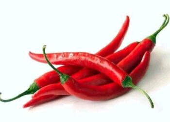 4 Things That Happen to Your Body When You Eat Too Much Chili Frequently