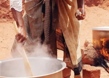 Not Cigarettes This Time! New Report Shows Firewood Smoke Causing Deadly Lung Cancer in Ugandan Women