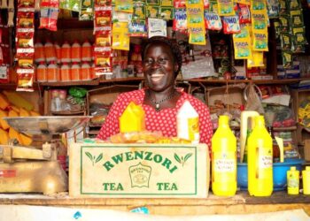 10 Small Businesses That Can Earn You UGX 100,000 Daily in Uganda
