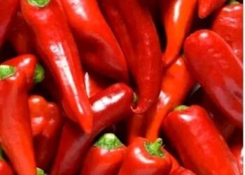 Diseases Cured By Eating Kamulali That No One Will Ever Tell You