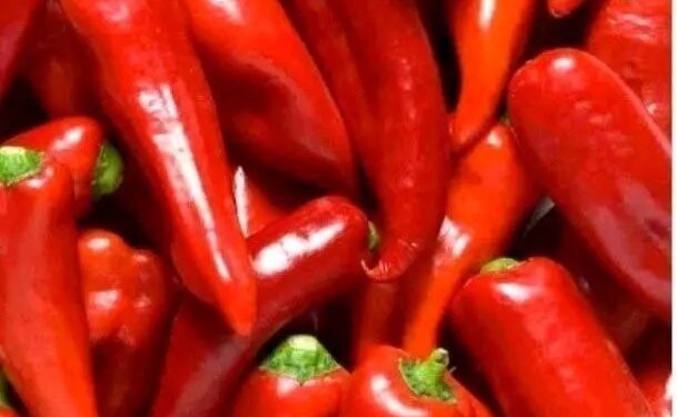 Diseases Cured By Eating Kamulali That No One Will Ever Tell You