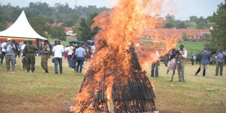 Uganda Destroys 100 Illegal Guns in Jinja