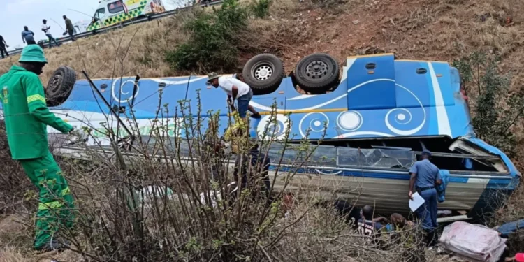 At Least 42 Dead, Including Children, in Deadly Bus Accident on Steep Road