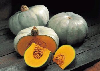 Pumpkin Is So Beneficial, See Some Diseases It Can Cure And Other Uses