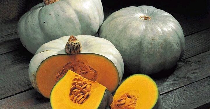 Pumpkin Is So Beneficial, See Some Diseases It Can Cure And Other Uses